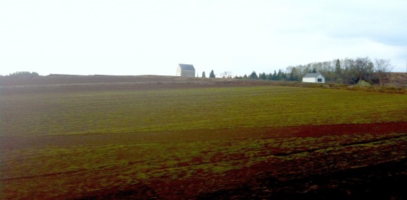 #htmlcaption_6 農地・水保全管理交付金の有効活動